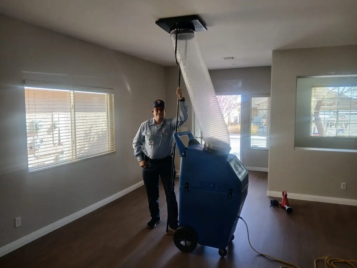 Professional Dryer Vent Cleaning work inside a Greenwood home